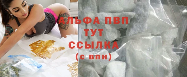стаф Иннополис