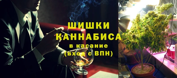 не бодяженный Инсар