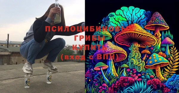 не бодяженный Инсар