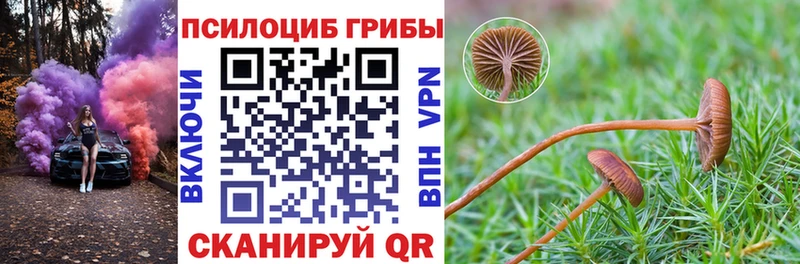 наркошоп  blacksprut ONION  Псилоцибиновые грибы Cubensis  Пушкино 